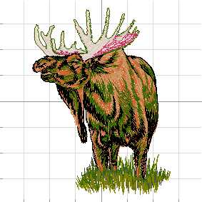 Moose