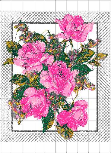 Roses bordera