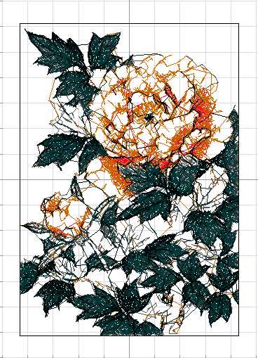 Botan  Bush Peony2