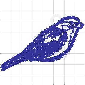 Birds5