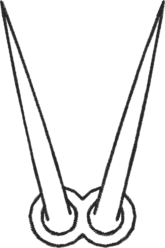 Clawv