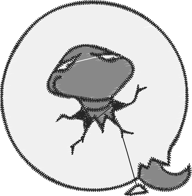 Q