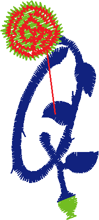Q