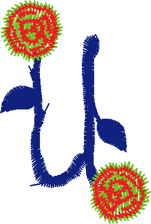 U