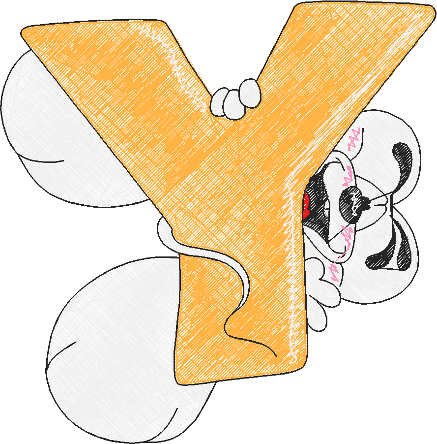 Y