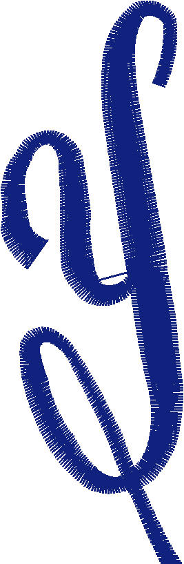 Y