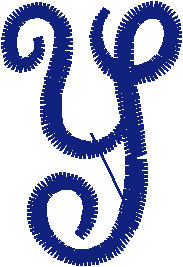 Y
