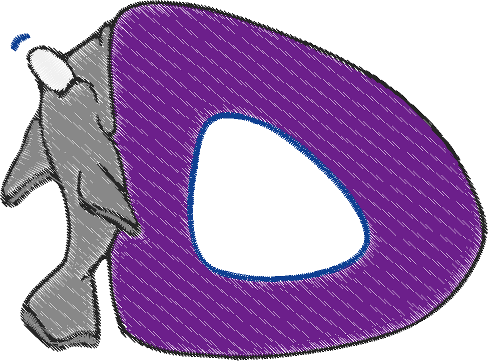 D