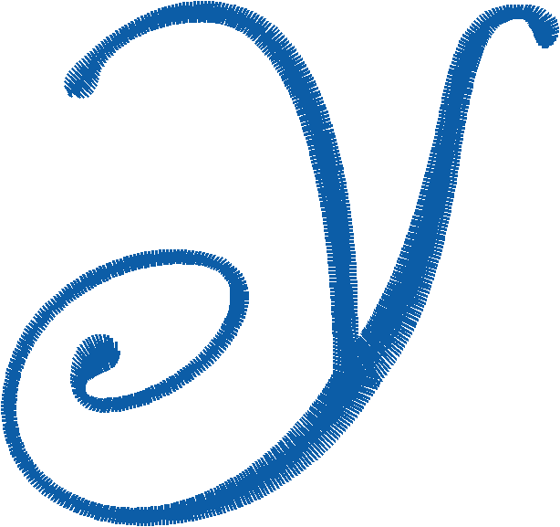 Y