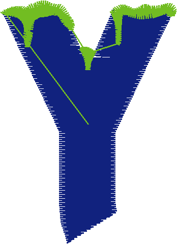 Y