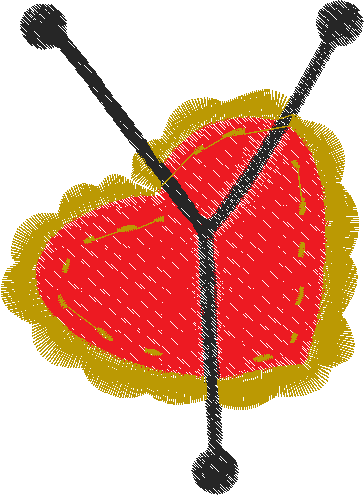 Y
