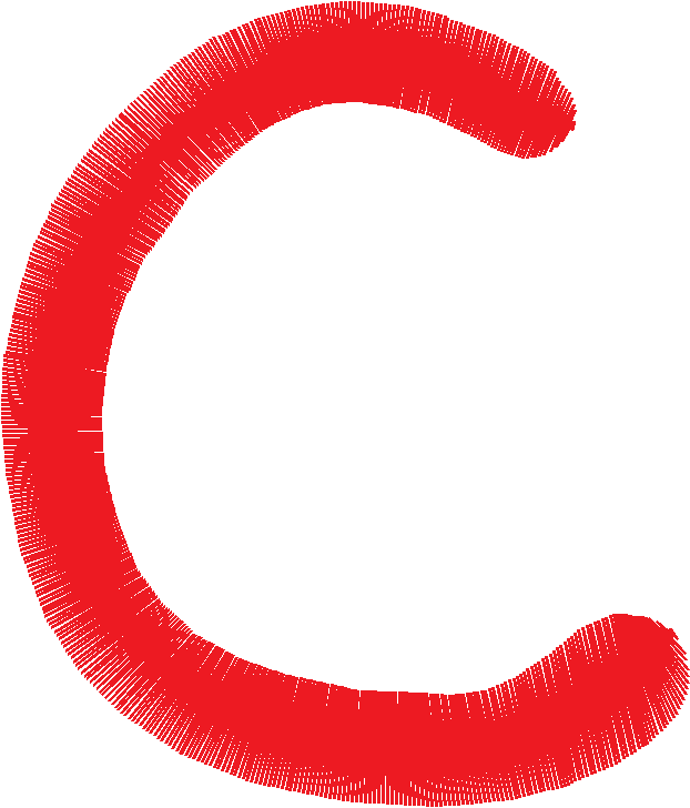 C 2