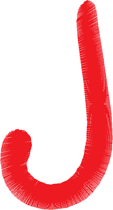 J 2