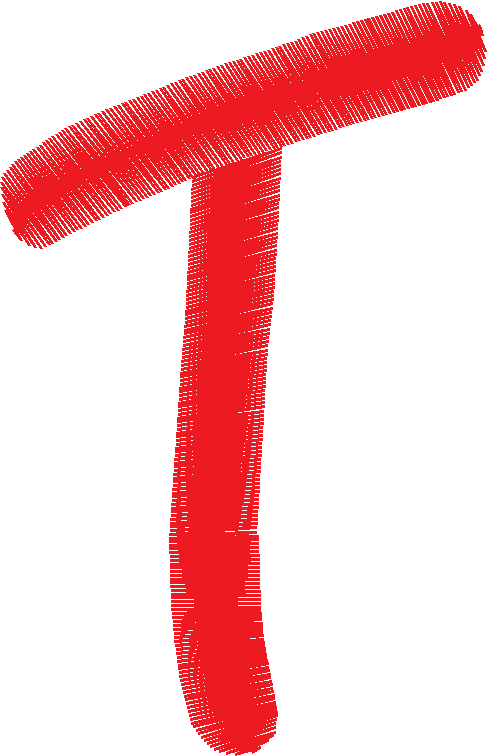 T 2