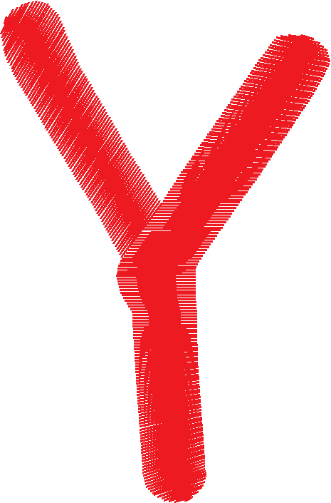 Y 2