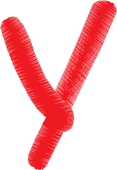 Y