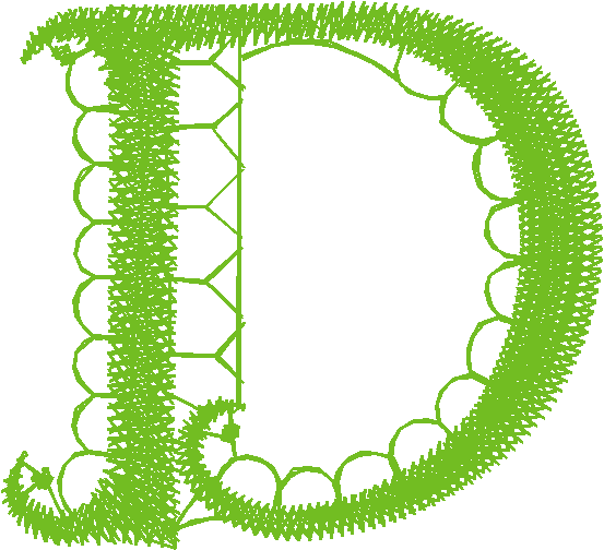 D