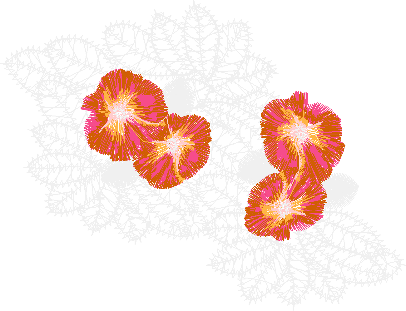 Design 24