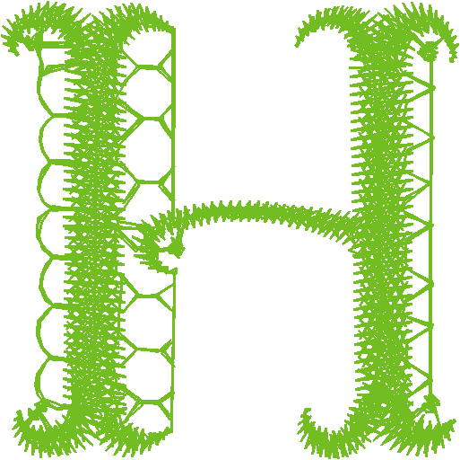 H