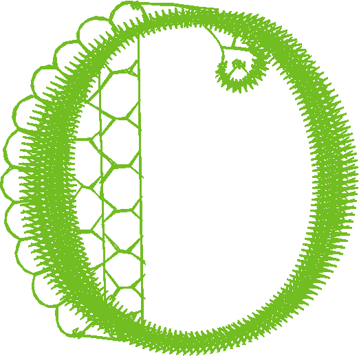 O