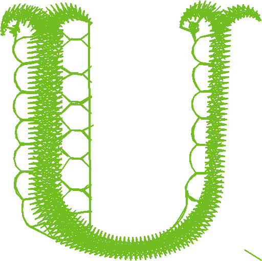 U