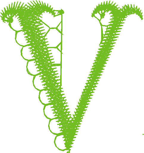 V