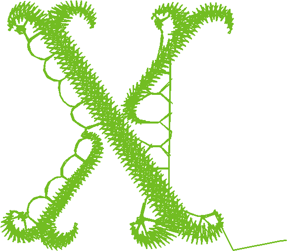X