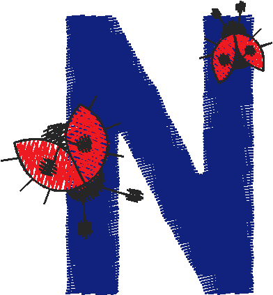 N4