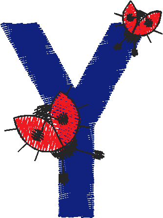Y4