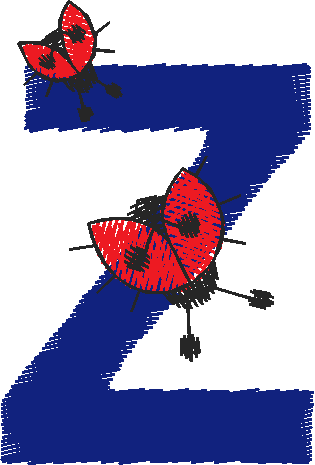 Z4
