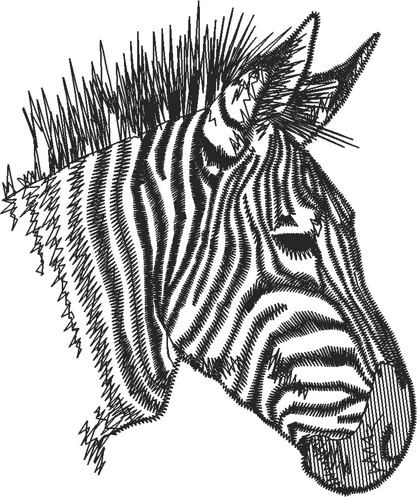 Alphabet   Leopard (27)
