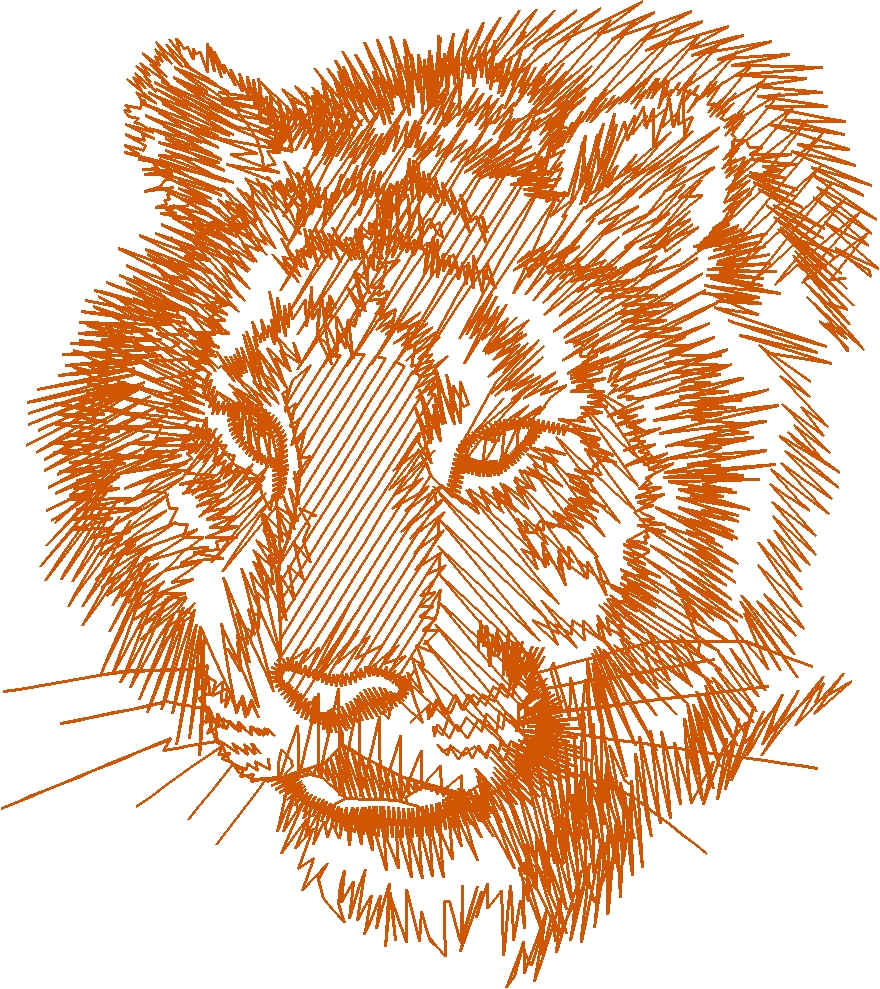 Alphabet   Leopard (28)
