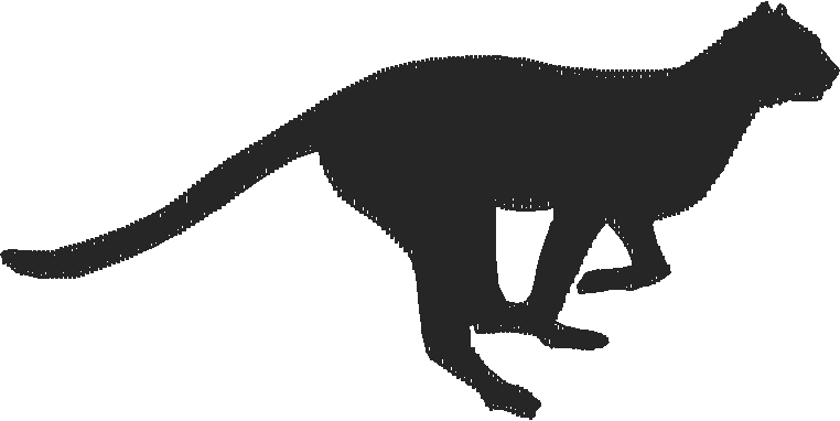 Alphabet   Leopard (29)