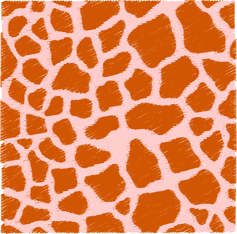 Alphabet   Leopard (37)