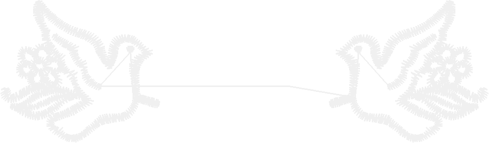 Border3