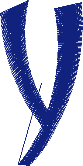 Y