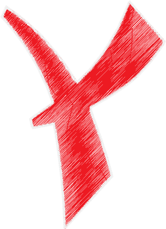 Y