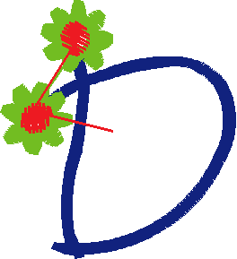 D