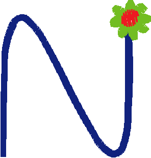 N