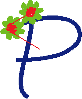 P