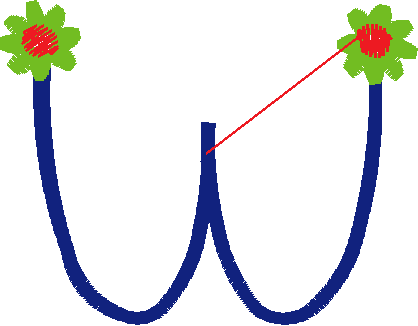 W