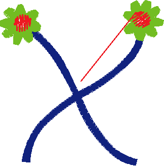 X