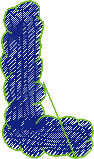 L