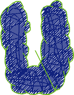 U