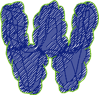 W