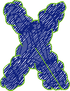 X