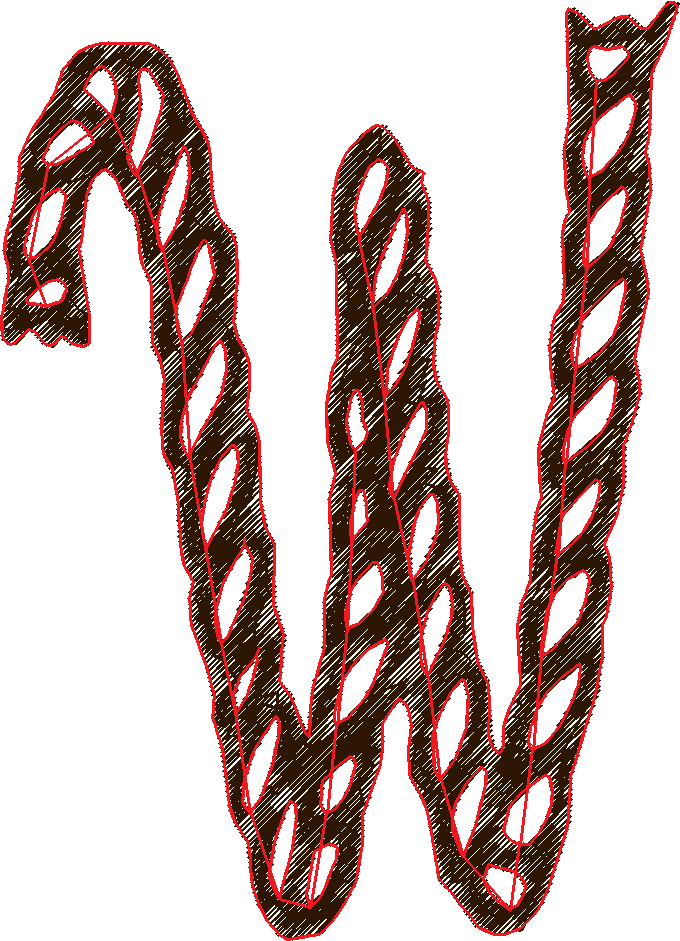 W