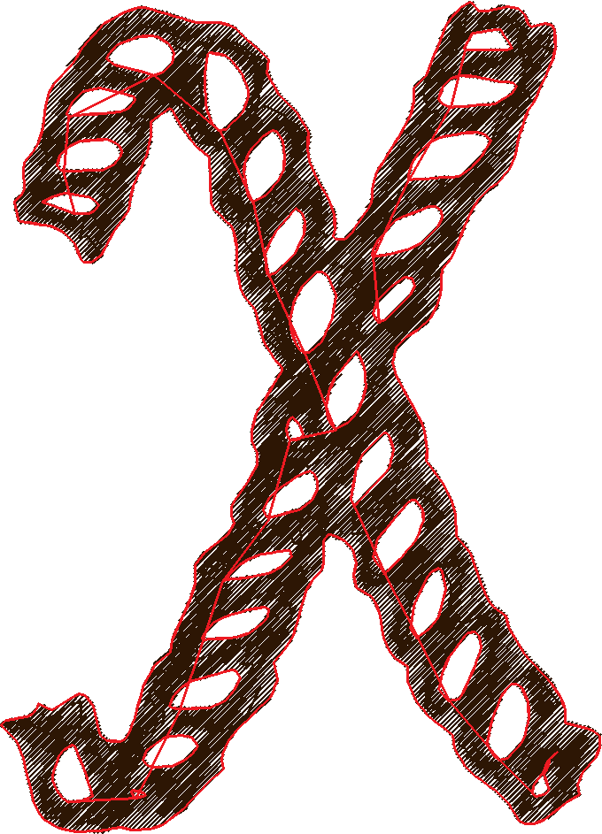 X