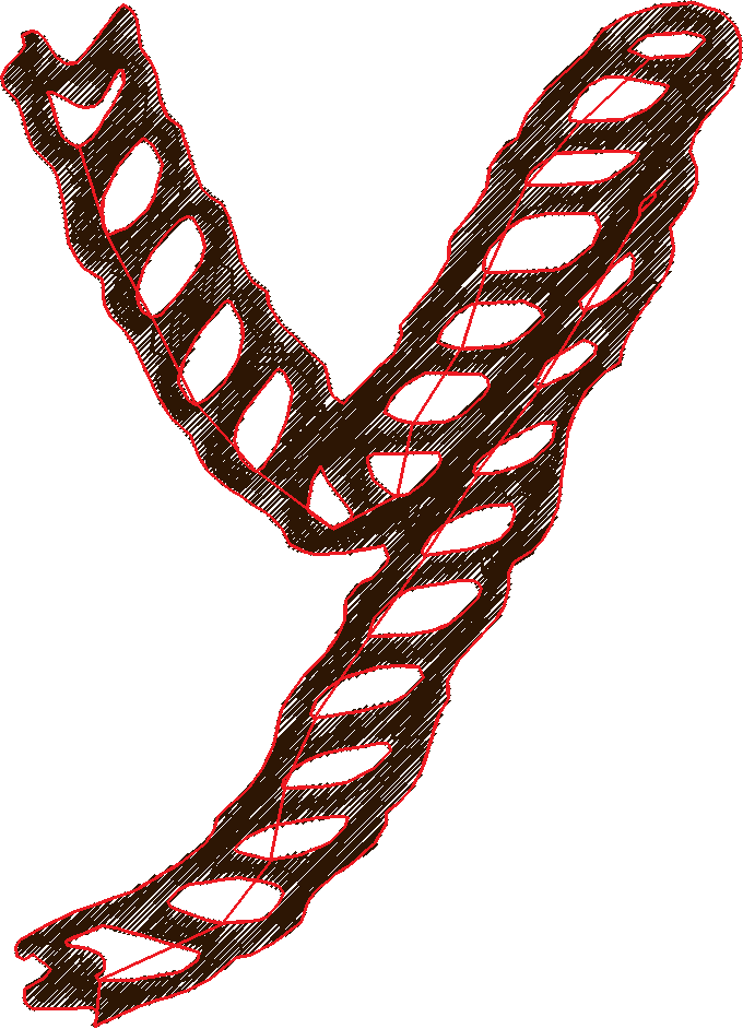 Y