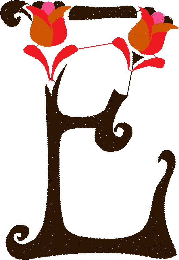 E